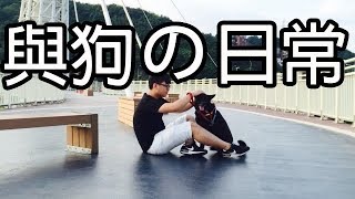 【杰生】廢系列 - 與狗的日常生活