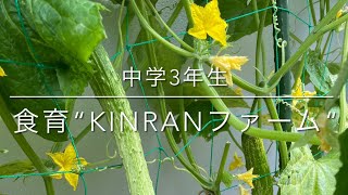 金蘭会中学校「KINRANファーム」紹介動画