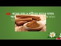 রোগ প্রতিরোধে দারুচিনির জাদুকরী গুণ দেখুন witch diseases cinnamon times