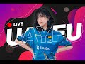 LIVE PERDANA STREAMER MAGANG