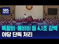 특활비·예비비 등 4.1조 감액…야당 단독 처리 / SBS