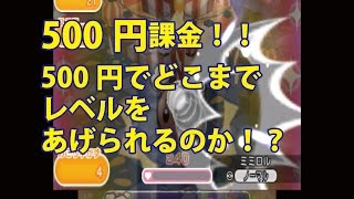 裏ワザなし！ ポケトル 初心者が 500円課金！！ どこまでレベル上げができるか！？