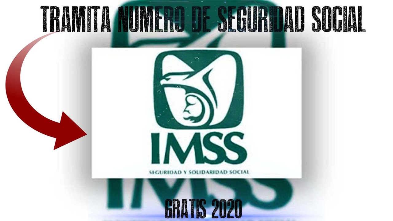 Como Consultar Y Imprimir Tu Numero De Seguro Social (IMSS) 2021 - YouTube