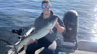 EARLY FALL KAWARTHA MUSKY