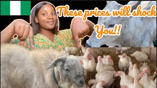 Cheap affordable livestock (chickens, goats, cattle and turkey) for Christmas