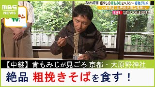 【中継】癒やしの「青もみじ」が見ごろ『大原野神社』　名物「よもぎ団子」や「粗挽きそば」を食す！（2023年5月8日）