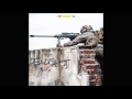Raptors x Dzayna - Deadshot (Feat. Dey Z) (Audio)