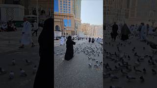 Woh Mera nabi mera nabi hai | Haram Sharif saudi Arabia | umrah ziyarat Haram Sharif