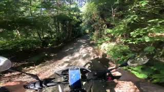 CRF150 單攻林道 下坡