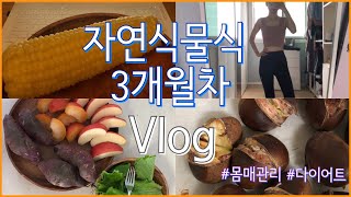 VLOG| 자연식물식, 채식하며 몸매관리 하는 브이로그 ( 자연식물식 식단)