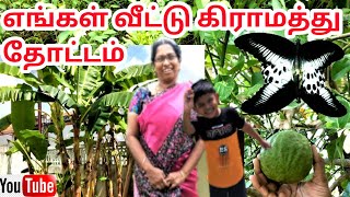 எங்க வீட்டு கிராமத்து தோட்டம் Vlog in tamil | Village Garden Tour in tamil | My home Garden vlog