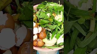 ఇంట్లోనే వంట చెత్త కంపోస్ట్ తయారు చేయడం ఎలా #kitchenwastecompost #v87garden #gardening