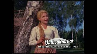 Valkoakaasiat ~ Tamara Lund (1962) 🎵🌼🎼🎵