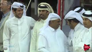 27th Qatar International Arabian Horse Show 2018 - Mares Ch.