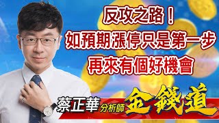 中視【金錢道】20210816 #蔡正華：反攻之路！如預期漲停只是第一步！再來有個好機會 #中視 #中視新聞 #金錢道 #摩爾證券投資顧問