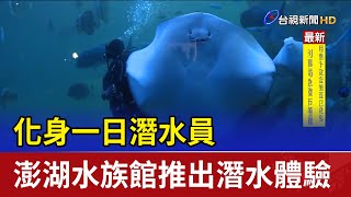 化身一日潛水員 澎湖水族館推出潛水體驗