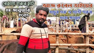 বাছুর ও গাভী গরুর দাম জানুন Ep-80|| Gorur Haat BD