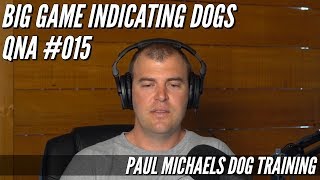 Big Game Indicating Dogs QnA #15