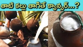 తాటి కల్లు తాగితే క్యాన్సర్...? | thati kallu benefits in telugu | Middle Class sharing