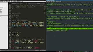 Bash Programming 6 'if'and Testing posted by techology