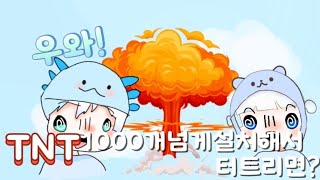 TNT 1000개 넘개 설치해서 터트리면?