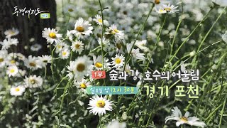 [예고] 풍경여지도 - 숲과 강, 호수의 어울림 : 경기 포천 1부 / 연합뉴스TV (YonhapnewsTV)