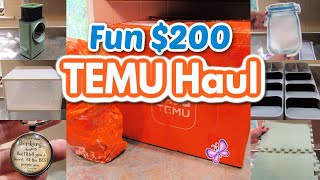 Fun $200 TEMU HAUL!  What did I get?
