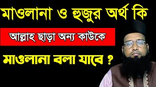 মাওলানা ও হুজুর অর্থ কি ? পীর গাজী হাবিবুর রহমান রেজভী সূফিবাদী ||