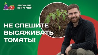 ВЫСАЖИВАЕМ ТОМАТЫ В ТЕПЛИЦУ! КАК ЗАМЕРИТЬ ТЕМПЕРАТУРУ ГРУНТА? И ЧТО ДОБАВИТЬ В ЛУНКУ?