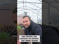 grow 2 crops for the price of 1. garden gardening food farm farming crop yummy delicious