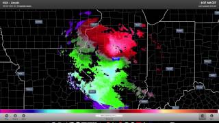 Radar Reflectivity and Radial Velocity Animation