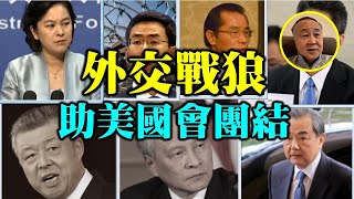 【名家論談】袁弓夷 袁爸爸（151）漂亮！中共外交戰狼 成功引起美國國會兩院高度一致 確定制裁