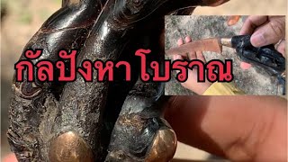 มีดโบราณ| กับกัลปังหาดำ หาดูยากมาก