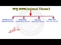 animal tissue jantu utak jantu utak ke prakar animal tissues class 9 u0026 11 in hindi जंतु ऊतक