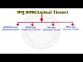 animal tissue jantu utak jantu utak ke prakar animal tissues class 9 u0026 11 in hindi जंतु ऊतक