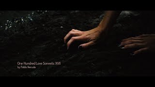 Sonnets XVII: I Do Not Love You. Poem By Pablo Neruda