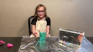 RoboGals Science Challenge 2019 - Olivia Barker