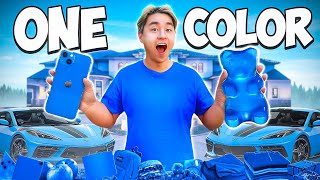 Buying Only ONE Color Items for 24 Hours (Blue)