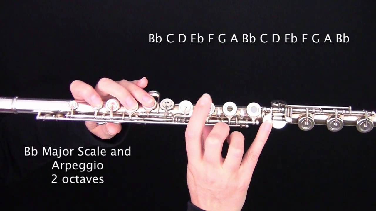 High E Flat Fingering Flute