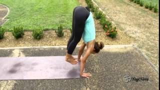 Press Up Handstands with Yogi Nora