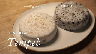 How to Make Tempeh at Home