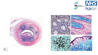 Career Talk Fridays - Careers in Biomedical Science