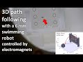 3D Path-Following using a Millimeter-Scale Magnetic Robot