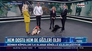 Hem dostu hem gözleri oldu - Rehber Köpekler Derneği