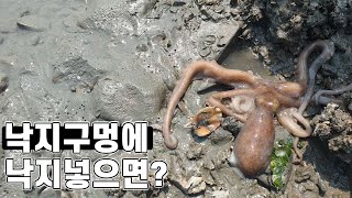 낙지 구멍에 낙지 2마리 출발!!