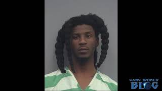 Gang member busted in Alachua (Florida)