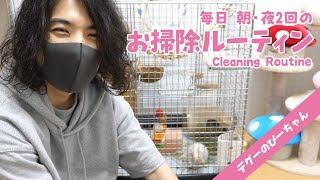 トイレを覚えないデグーのケージ掃除は大変？朝と夜の毎日お掃除ルーティン【Cleaning Routine!】