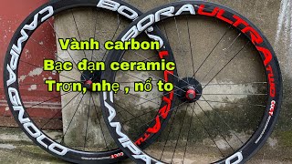 Vành Carbon Campag Bạc Đạn Ceramic Hub Smith Taiwan Siêu Trớn