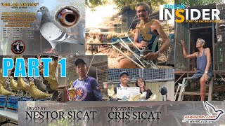 PIGEON INSIDER | CRIS SICAT LOFT PART 1