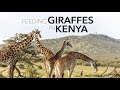 Feeding Giraffes in Nairobi || Kenya Travel Vlog